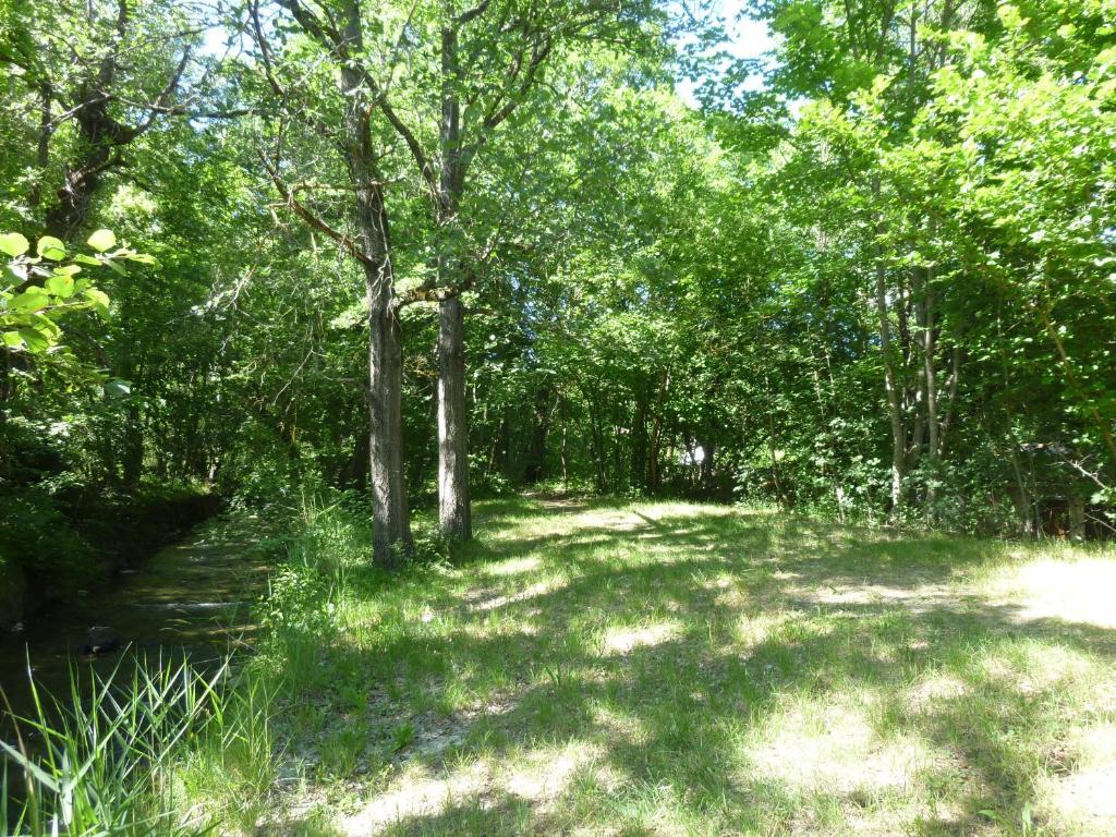 Camping Notre Dame Castellane Værelse billede