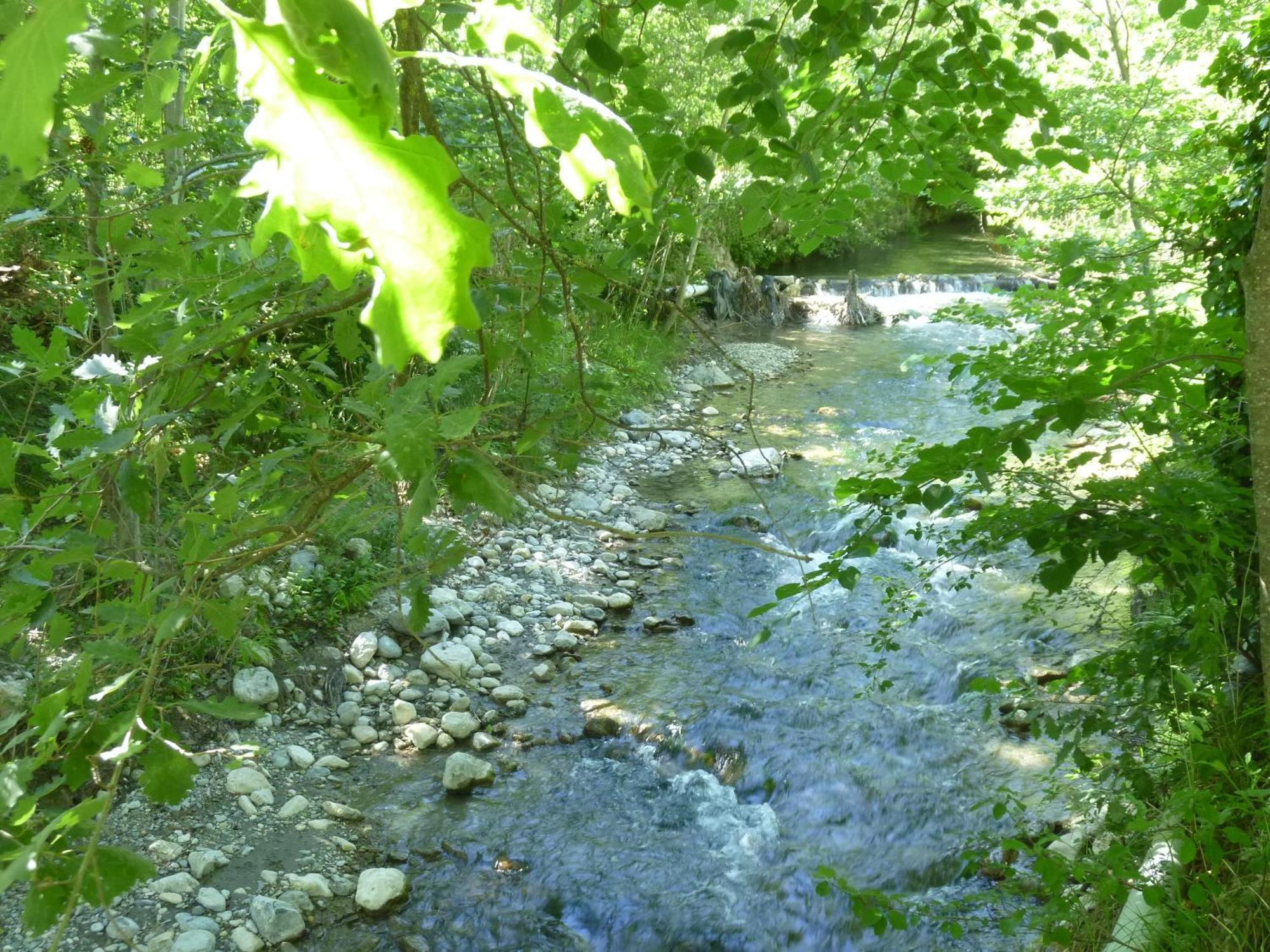 Camping Notre Dame Castellane Eksteriør billede